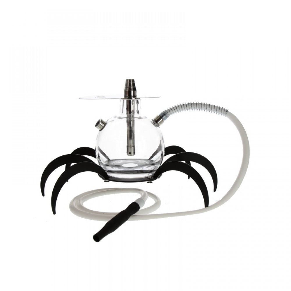 Shisha Oduman Tarantula