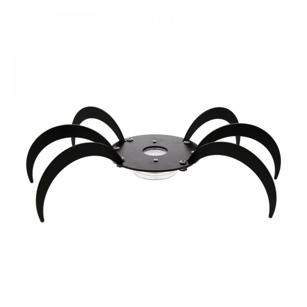 Shisha Oduman Tarantula