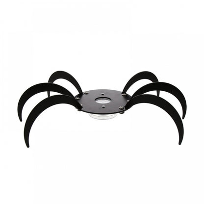 Shisha Oduman Tarantula