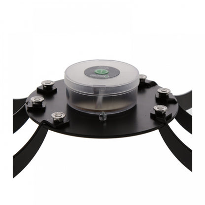 Shisha Oduman Tarantula